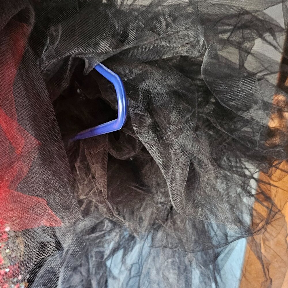 Costumes - Picture 3 of 4